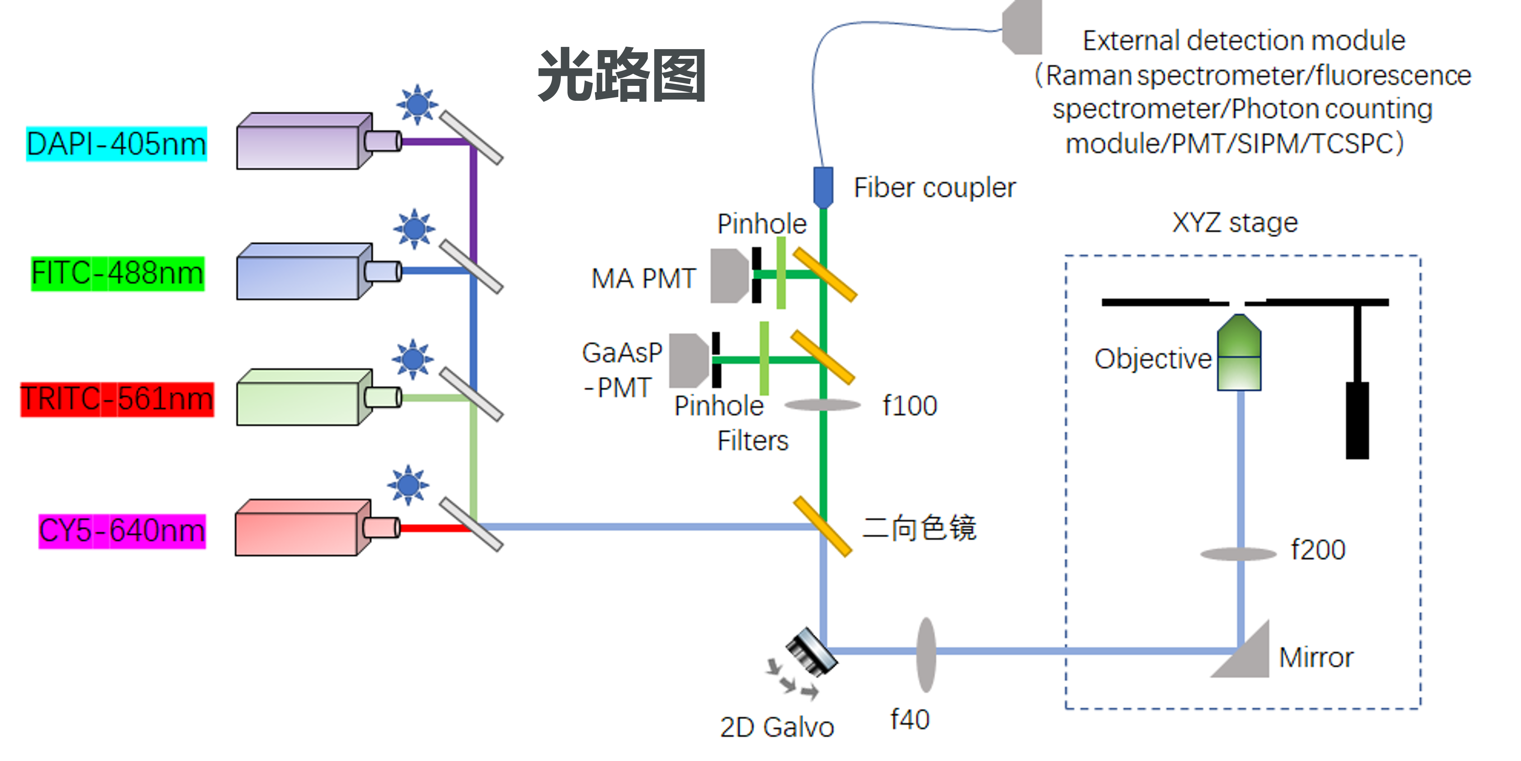 Nano PLUS Point Scanning Confocal Optical Layout