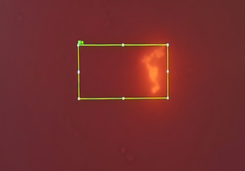 Sample illumination excitation pattern under brightfield