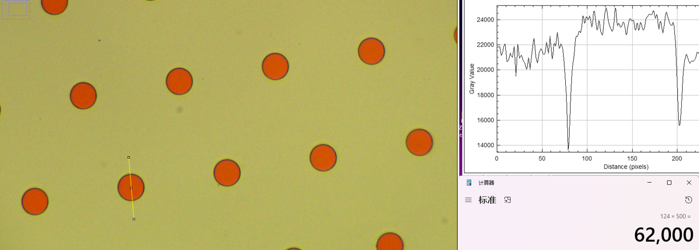 Pinhole morphology micrograph 2