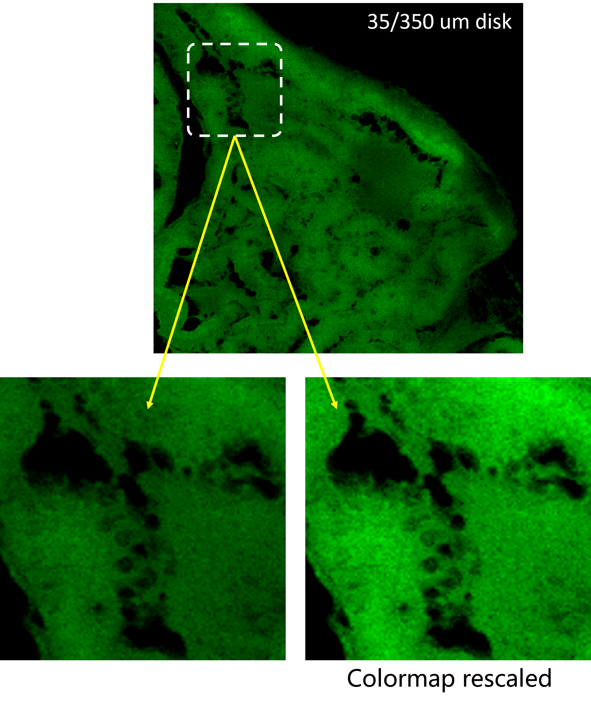 35/350 um original field of view and colormap rescaling
