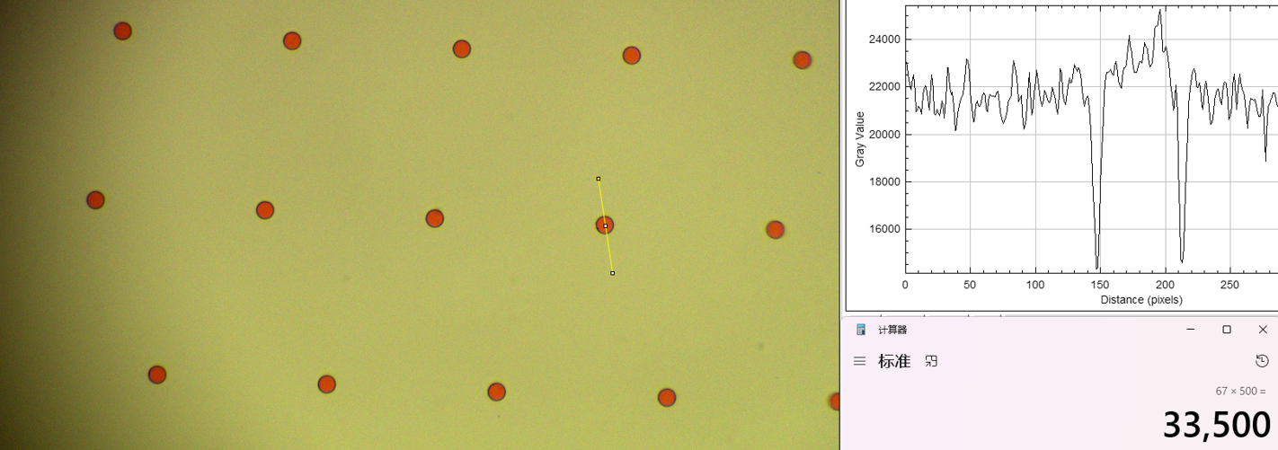 Pinhole morphology micrograph 3