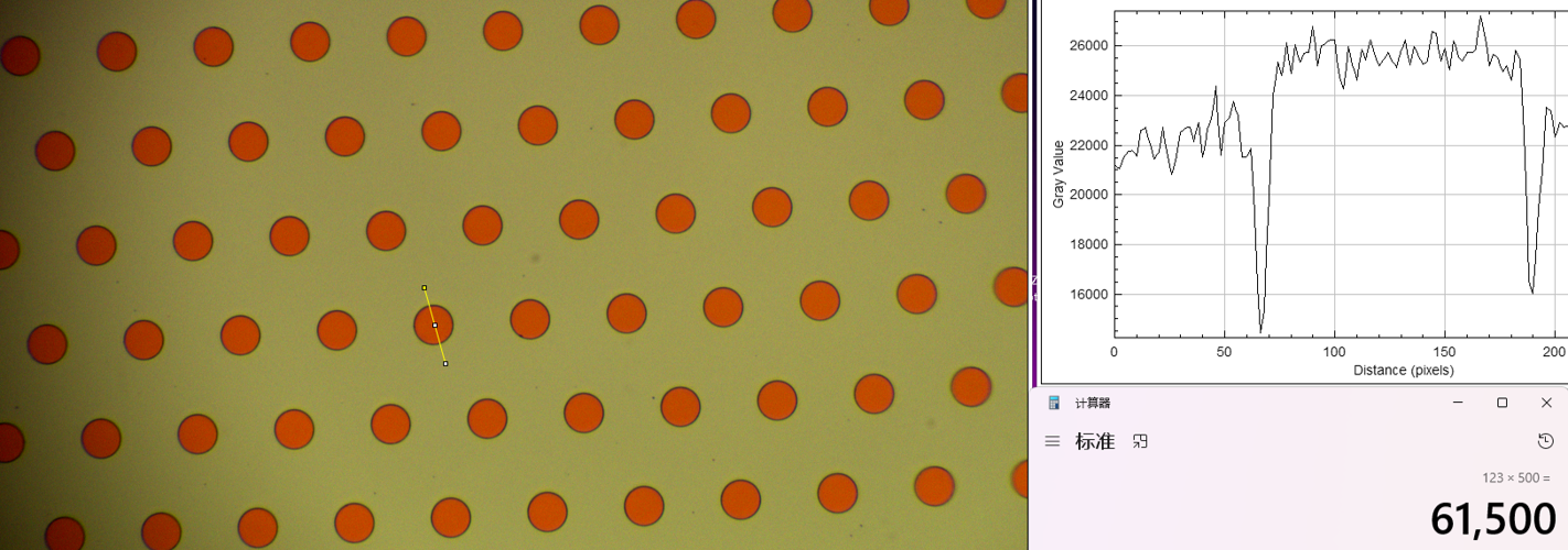 Pinhole morphology micrograph 1