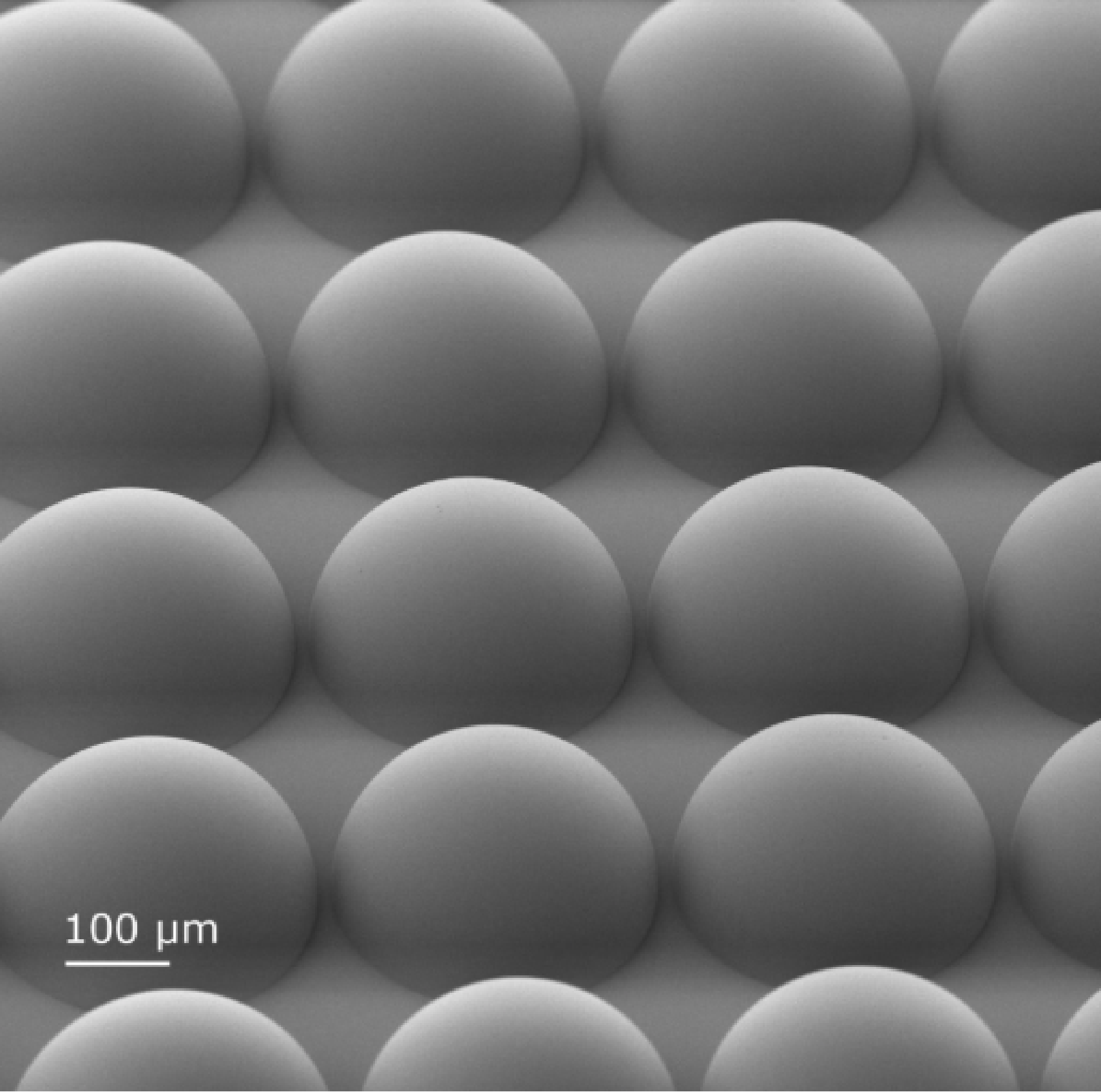 TPL GRAY Grayscale Exposure Microlens Array