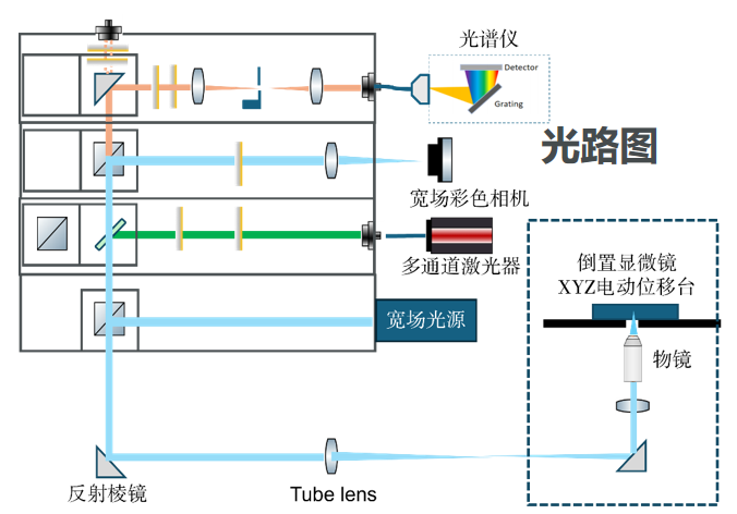 Nano PLUS Raman Module Optical Diagram